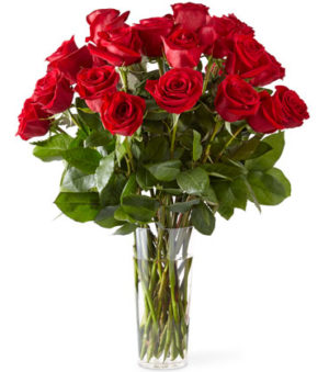 18 red roses