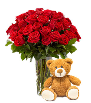 2 dozen red roses with bear