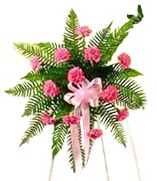 Pink Carnation Standing Funeral Spray