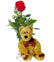 Single Red Rose & Bear