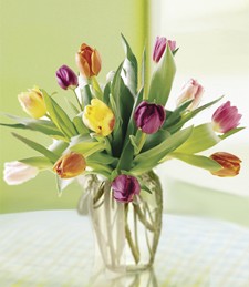 Love Tulips