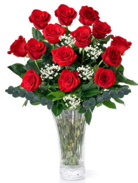 Dozen Long Stem Red Roses