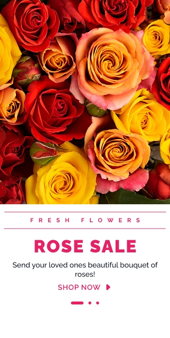 Rose flowers