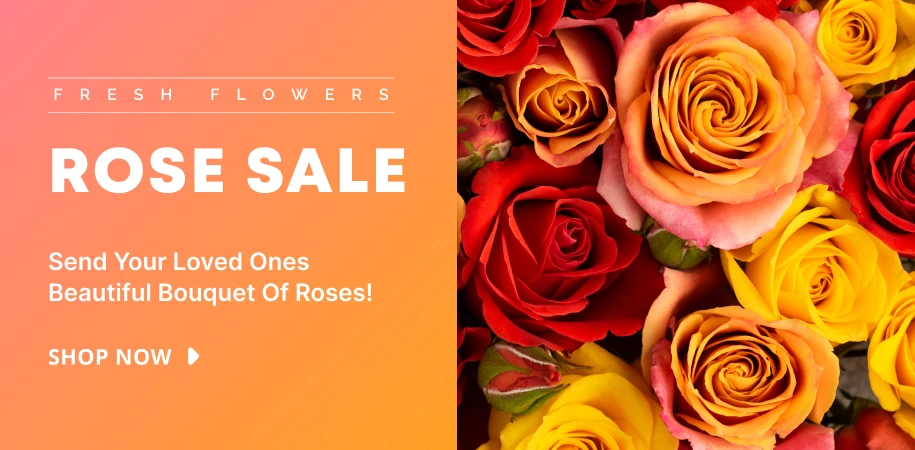 Rose flowers