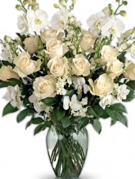 Classic Roses