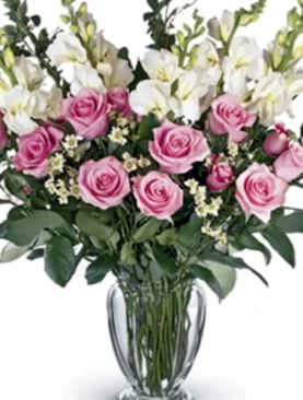 Exotic Blooms