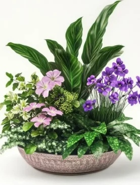 Exotic Flora