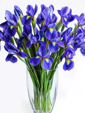 Florist Bouquet