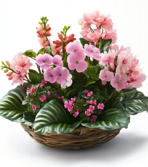 Fresh Air Gift Basket