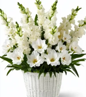 Garden of Pure Zen Sympathy Basket