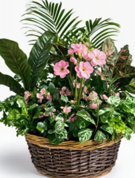 Jardin des Fleurs