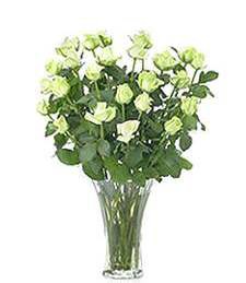 Luxurious 24 White Roses