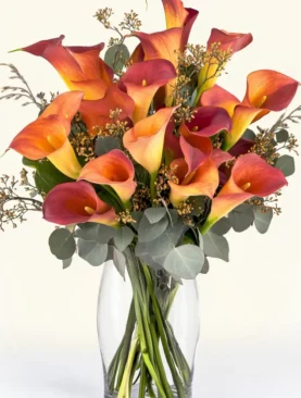 Mango Calla Lilies
