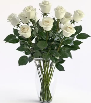 One Dozen White Roses