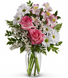 Pink and white blooms