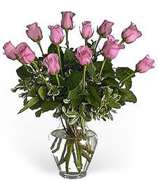 Pink Roses