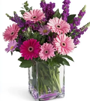 Pink and Purple