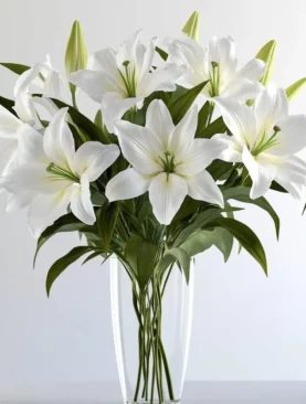 Precious Lilies