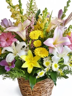 Radiant Blooms