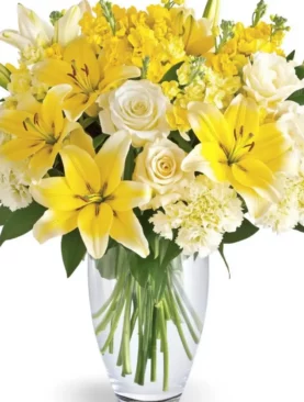 Sunshine Blooms