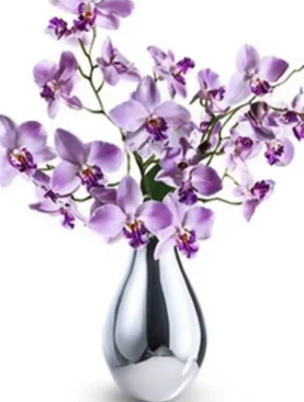 Tender Orchid Bouquet