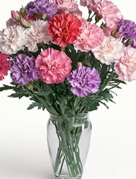 Timeless Beauty Bouquet