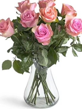 Pink Roses