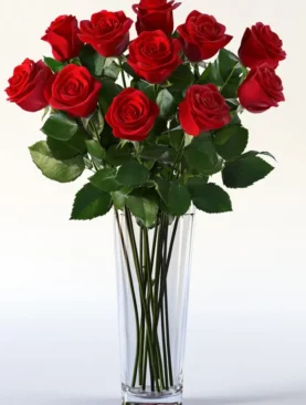 One Dozen Red Roses