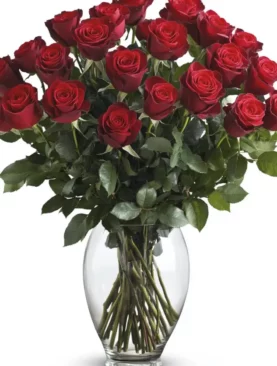 Two Dozen Red Roses
