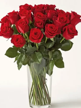 24 roses for every occasion