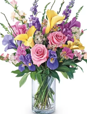 Vibrant Flowers