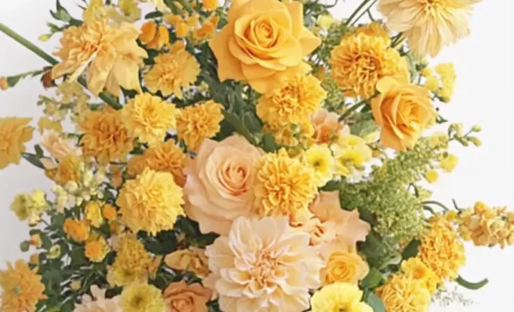 Yellow Standing Spray