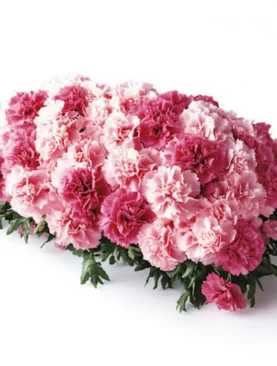 Sympathy Flowers