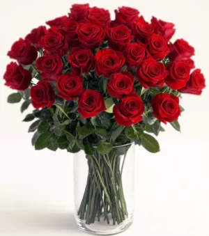 Luxurious Red Roses