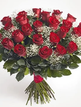 Two Dozen Red Rose Collection
