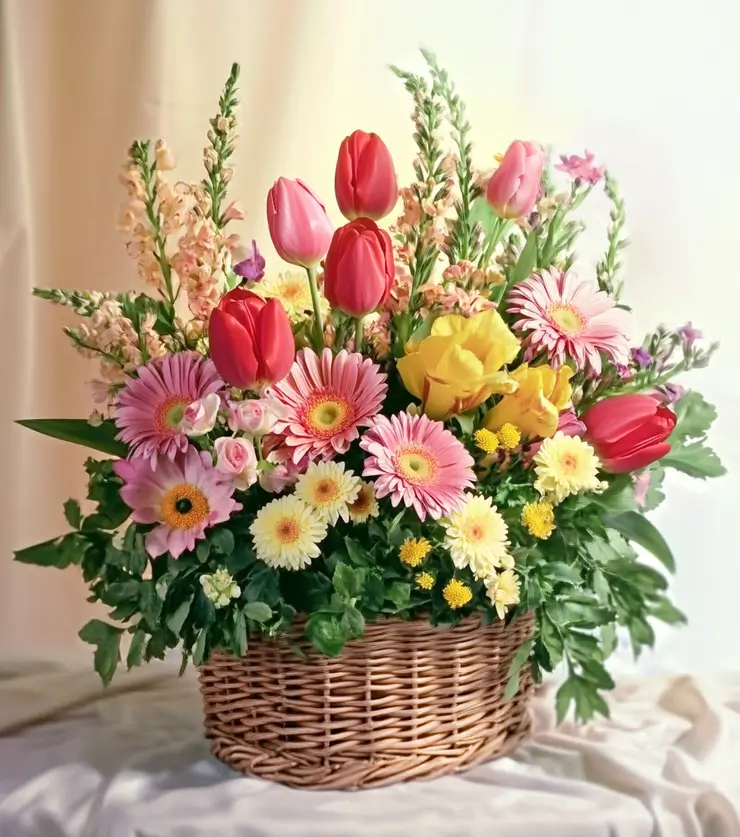 nature_s_beauty-image-main