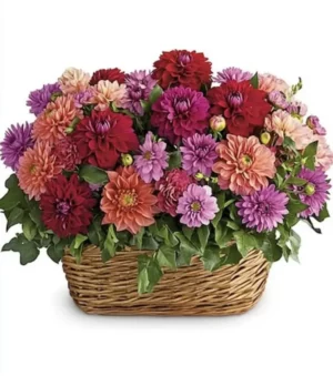 Floral Fantasy