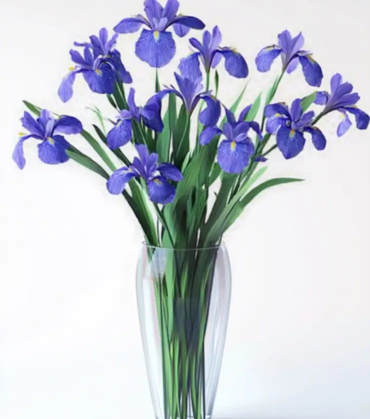 Faith Iris Bouquet - Gallery Image Faith Iris Bouquet