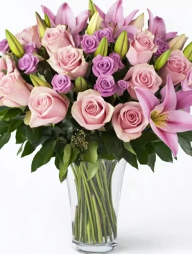 Lavender Blush