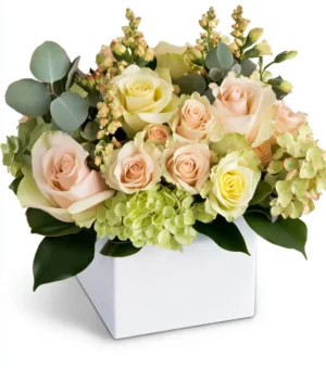 Rainbow of Blooms