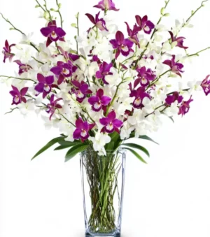 Tropical Birthday Flowers