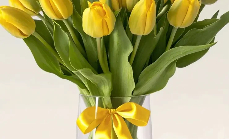 yellow tulips