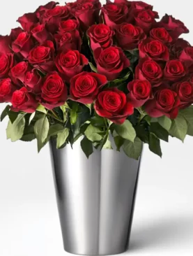 24 Red Roses