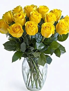 Elegant Blooms