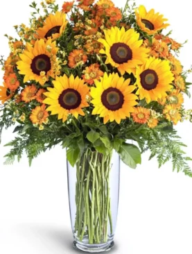 Exquisite Sunflowers