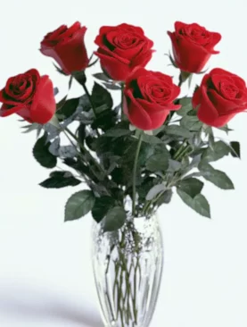 Love Story Roses
