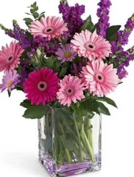 Pink and Purple