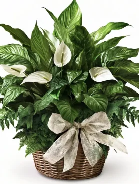 Vibrant Collection Basket