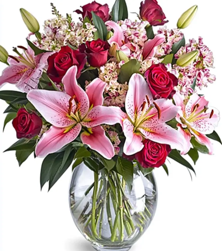 loving_harmony-2-1-1.webp