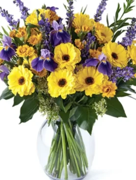 Luscious colors of high royalty